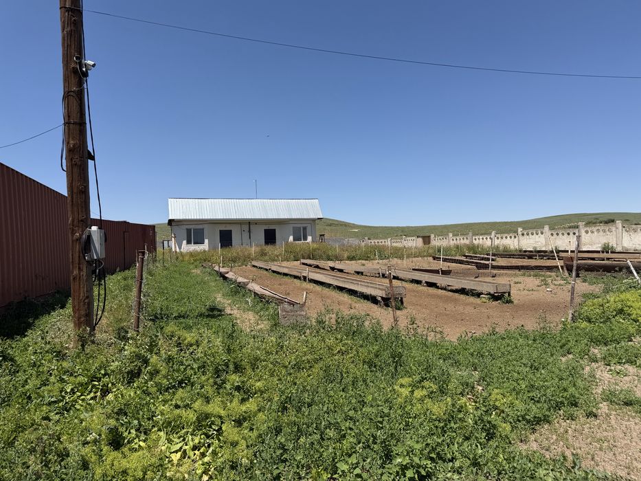 Откорм сатылады