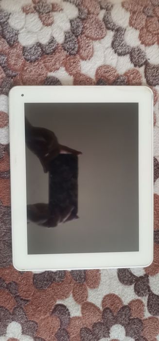 Таблет бял Foxsky