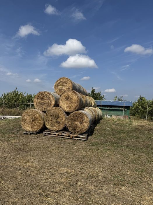 Vand baloti lucerna  rotunzi,mari