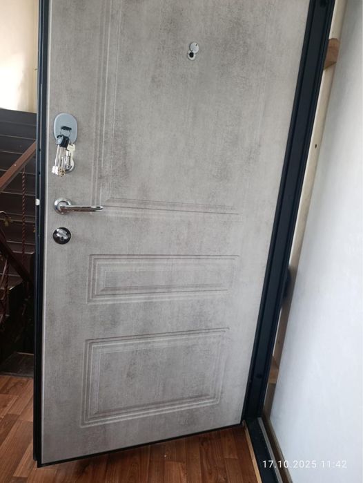 Входная металлическая дверь