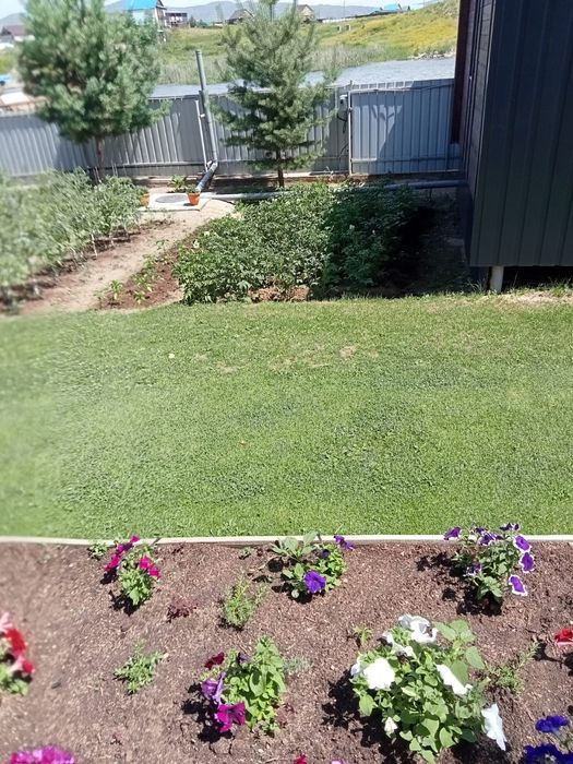 Аренда домика на бухтарме