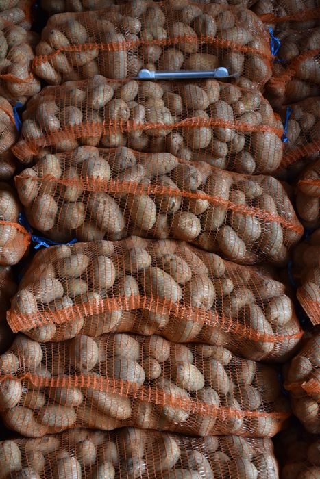 Cartofi de consum albi si rosii