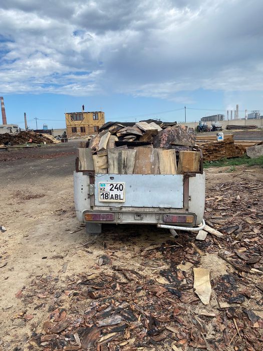 Швырок пирожковой