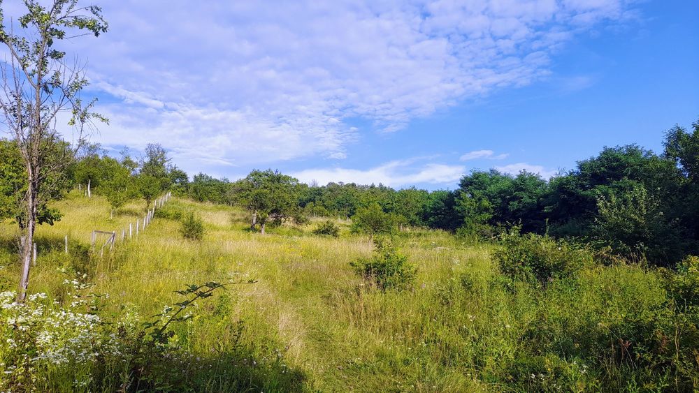 Teren intravilan frumos, Cozia