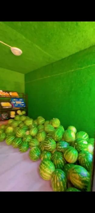 Бутка для овощи продается