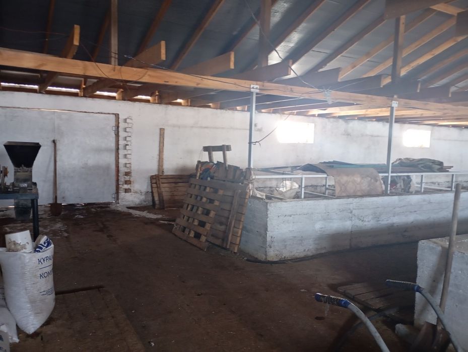 Откорм база вблизи Астаны