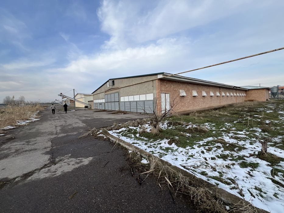 Tovuqxona va xizmat binolari