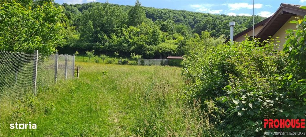 Teren 2033 mp- langa padure-  Margineni- Podis Dubas