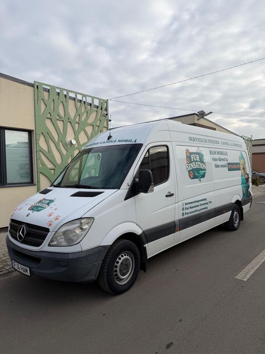 Frizerie canină si felină la domiciliu tau