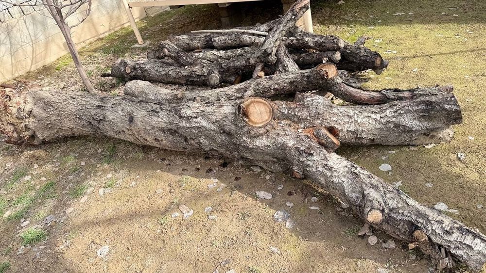 Katta hajmdagi oʻtinlar