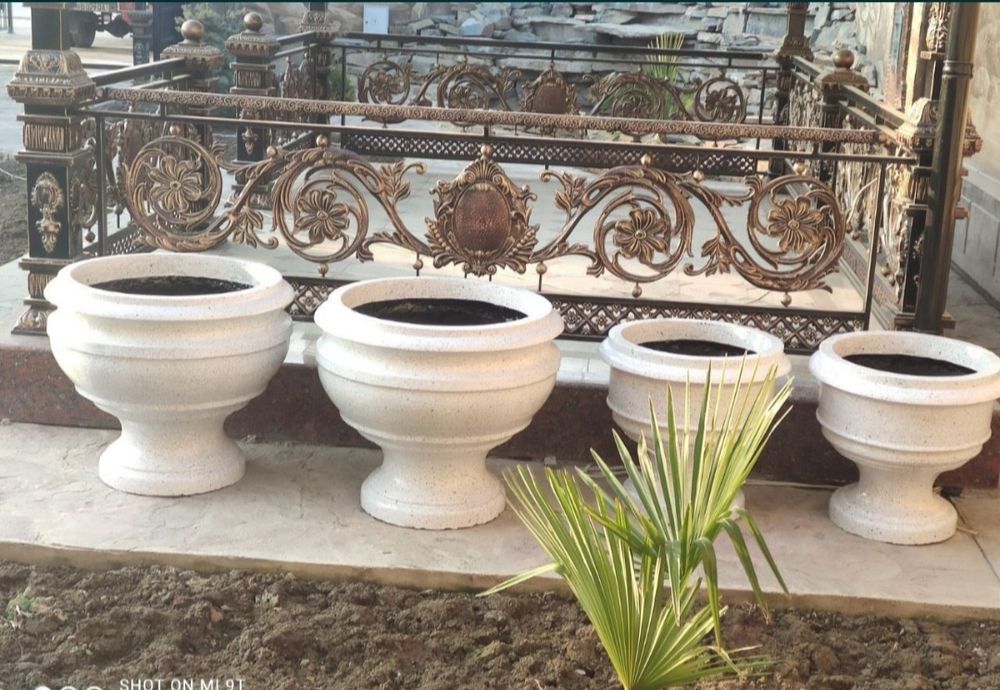 Бетонни гултувакла хархил турдаги кучат ва дарахт