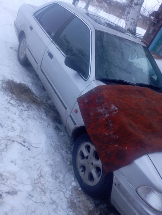 Продам скорб шок цена срочно