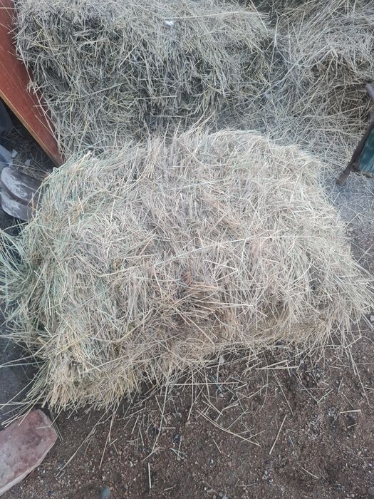 Продаётся сено в тюках