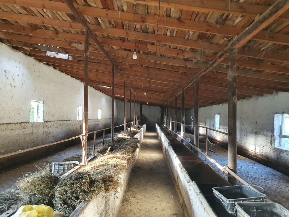 Molxona , ferma sotiladi