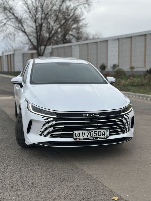 Chazor 2024 Oq 2Pozitsiya