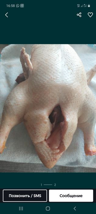 Мясо утки в Рудном