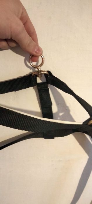 Продам недоуздок новый