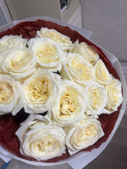 срочно продам цветы