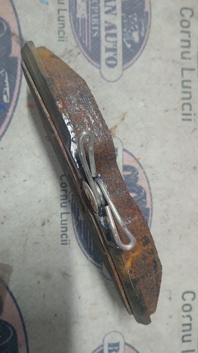 placute fata  renault scenic