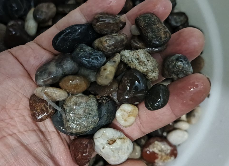 Akvarium uchun maxsus galka toshla