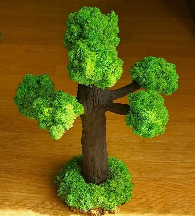 Decorațiuni cu licheni