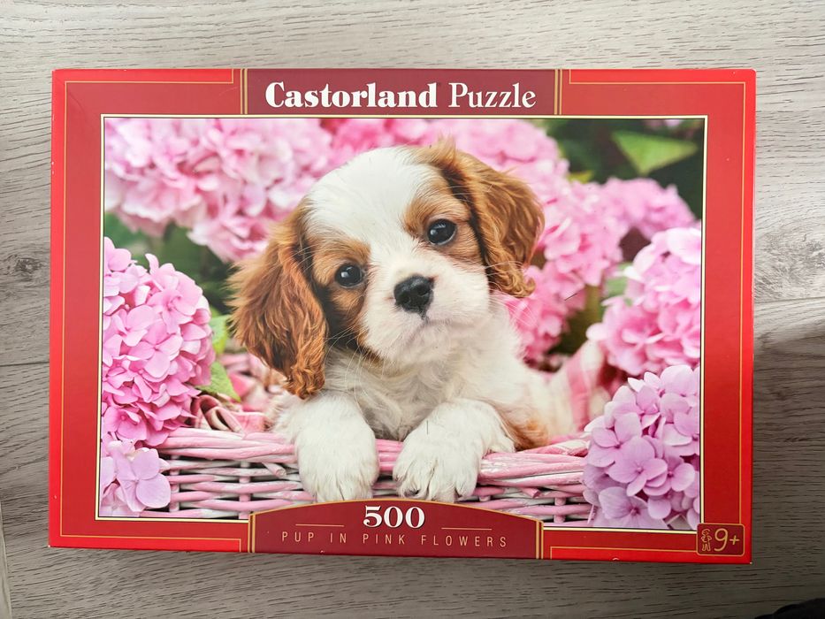 Castorland Пъзел на Куче