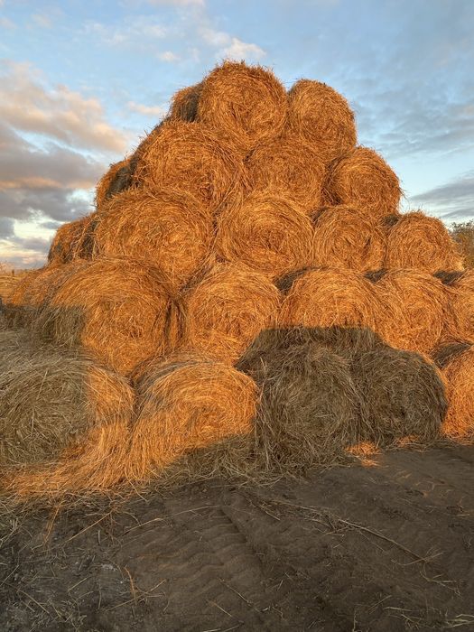 Продам рулоны по 5000