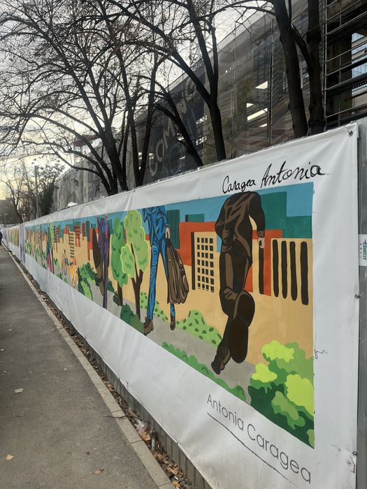 Pictura panza/perete