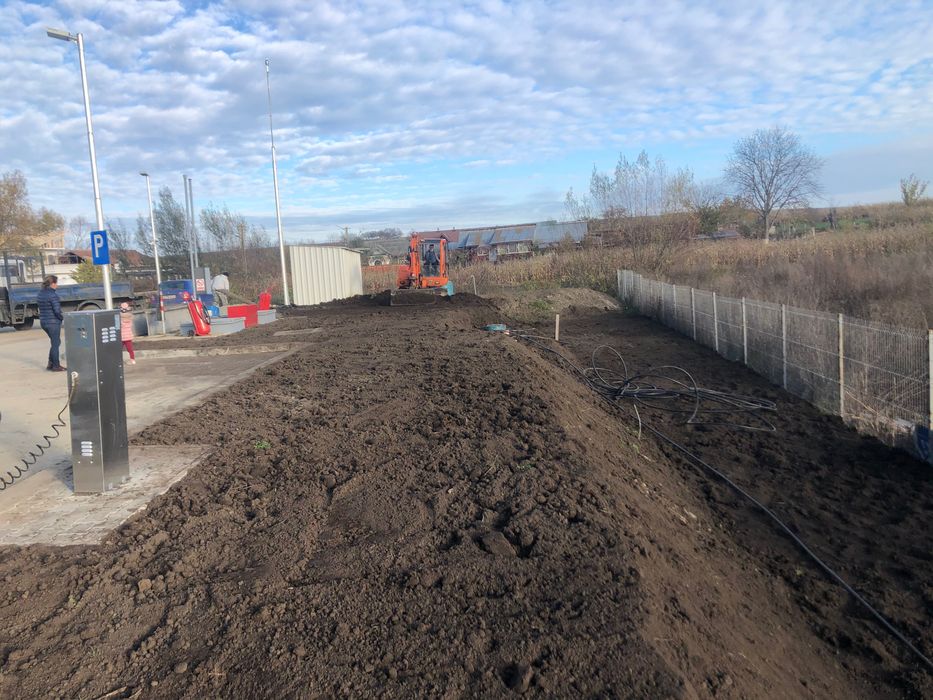 Pamant negru vegetal pentru gazon