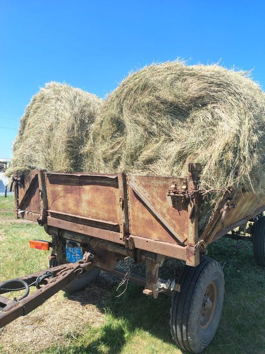 Сено свежее Костанай