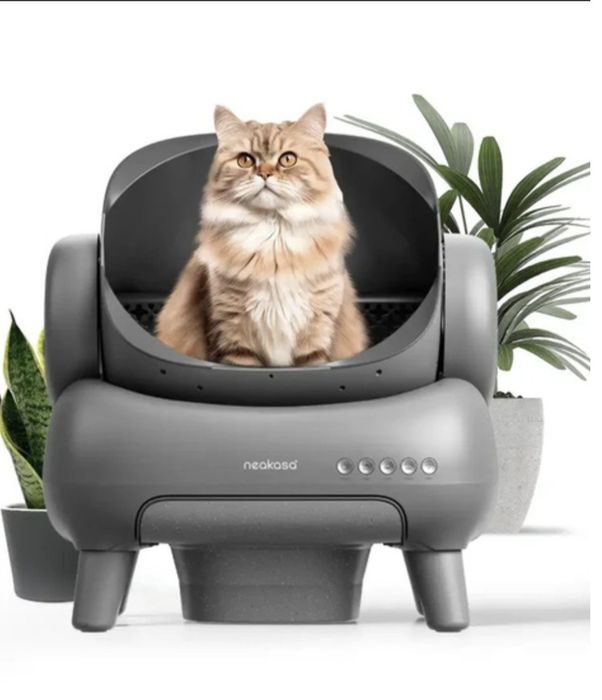 Туалет для кошек.