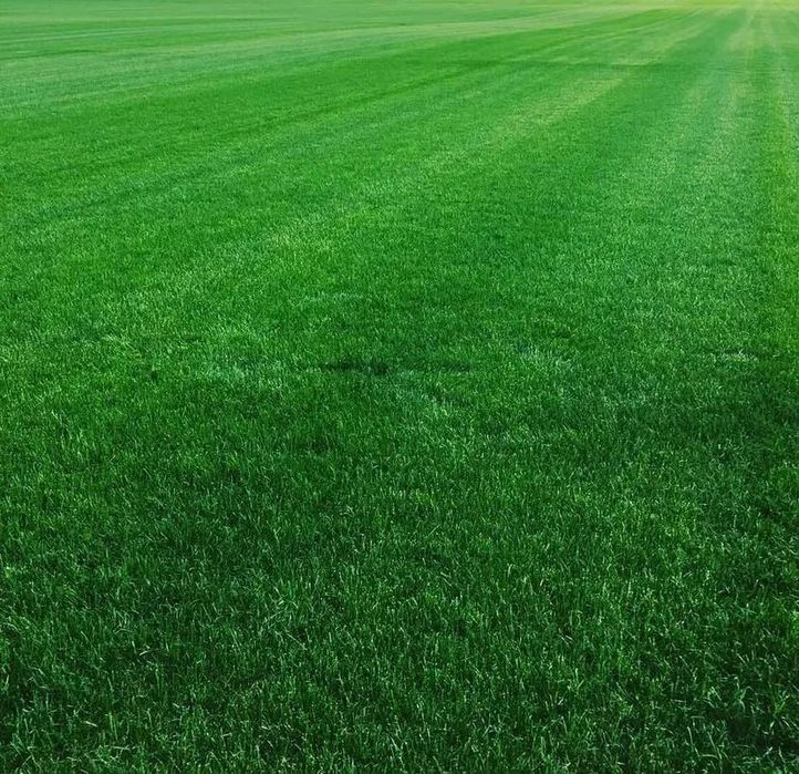 Газон посев рулон полив микроклимат