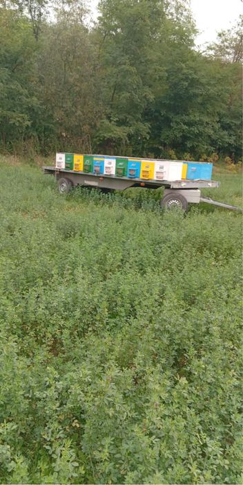 Schimb cu tractor 650