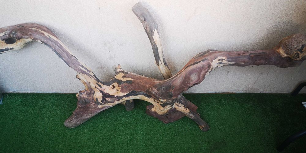 Корен за аквариум