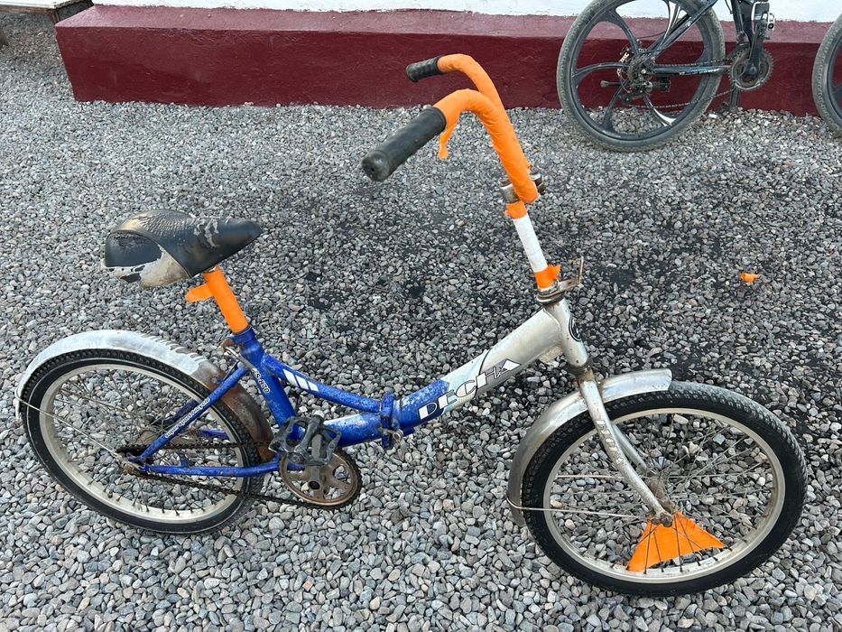 Даусы сапада озим аидагам