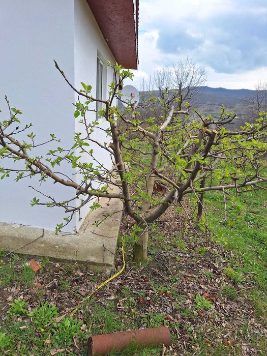 Casa P+M, direct proprietar, teren 2093 mp