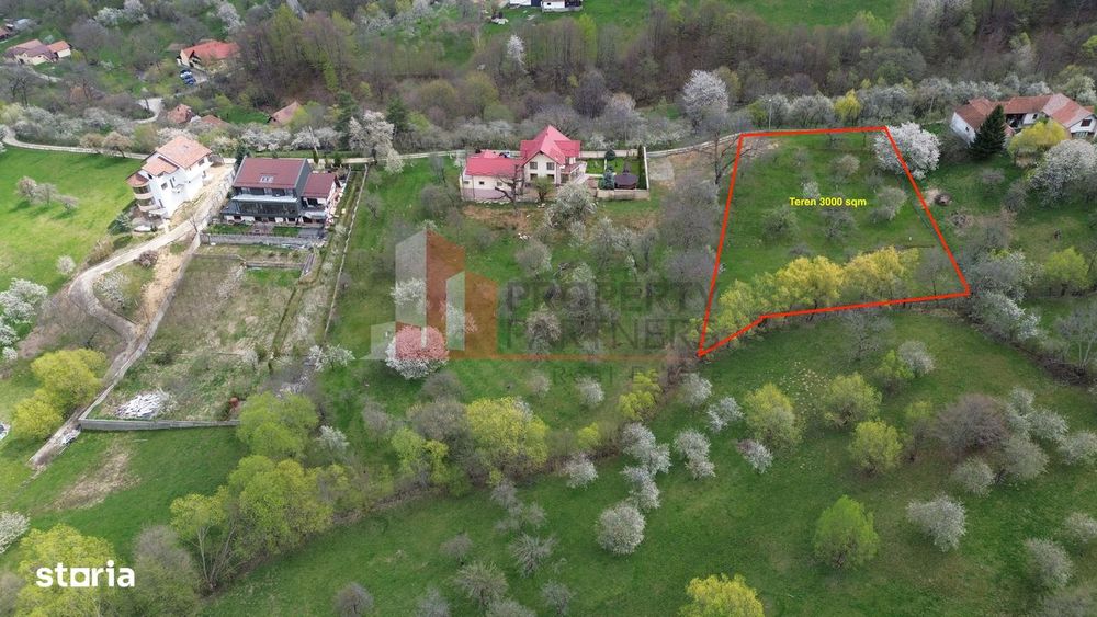 Teren Premium În Bran – Sohodol | 3000 Mp Cu Panoramă Excepțională