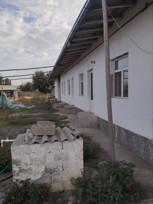 Янгийўл тумани Калган ҳудудида жойлашган 80 сотих ер сотилади