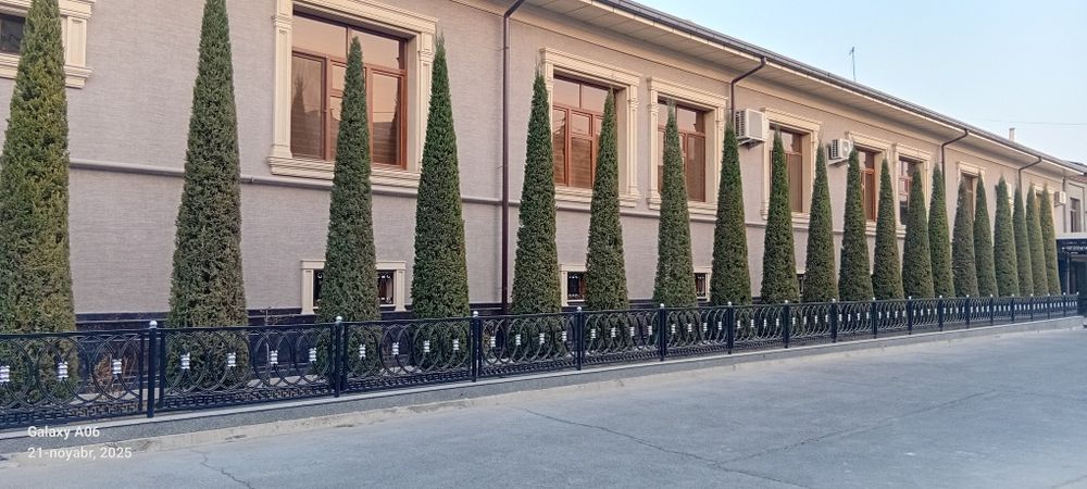 Archa xar xil mevali daraxlani kesish ularga chiroyli shakll berish