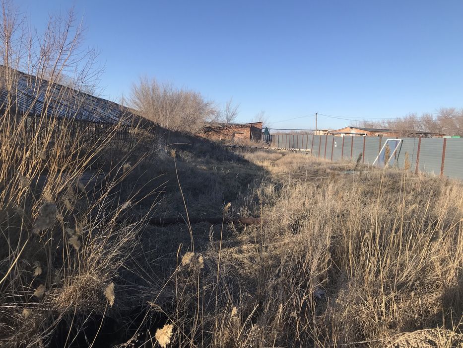 Теплица / тепличный комплекс