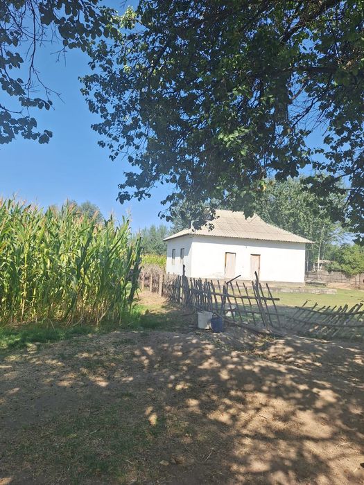 Продам дом, яхши жойда жойлашган