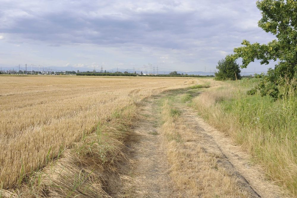 Продава се Земеделски имот в с. Брестник, Област Пловдив -  кв.м за 30600 €/дка - Снимка #6