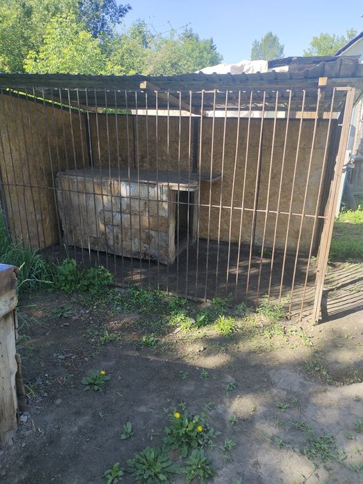 Продам вальер для большей сабаке