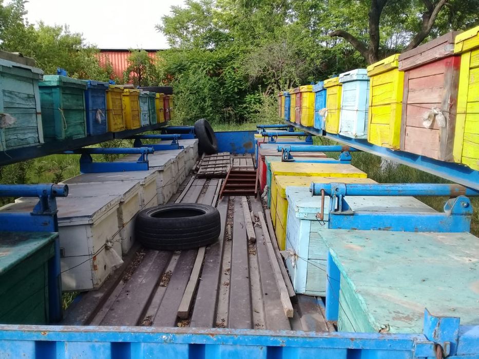 Продается на колесах Пасека