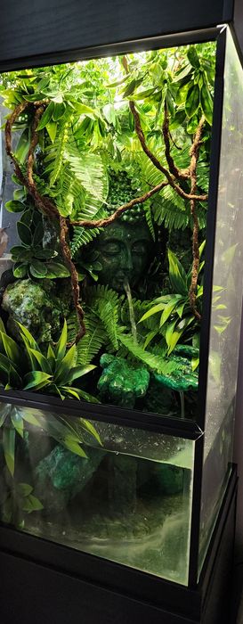 Терариум/палудариум