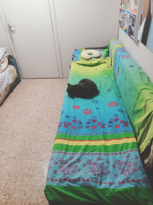 Возьму одного парня на подселение