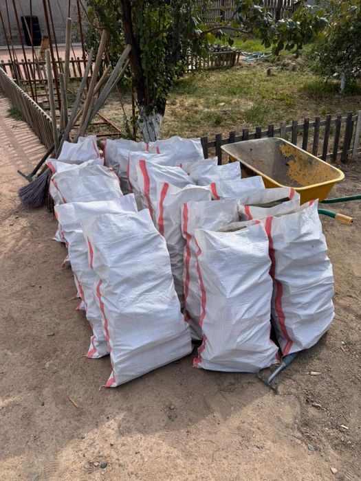 Дайын жарылған тамыздық