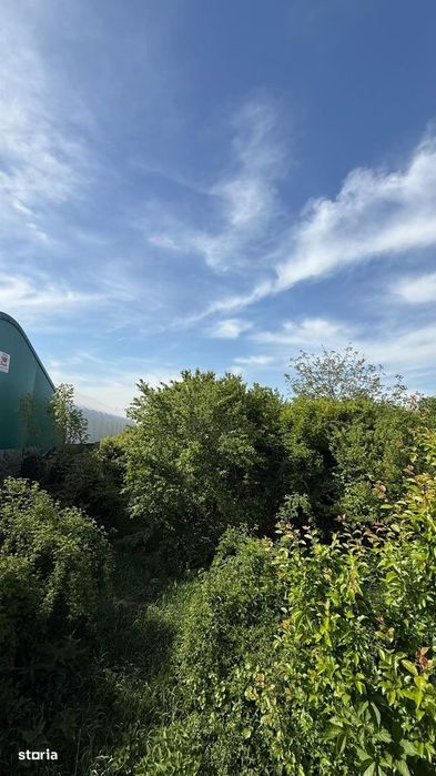 Teren intravilan mixt Buftea – Corbeanca MEGAOCAZIE | 2527 mp | Ideal