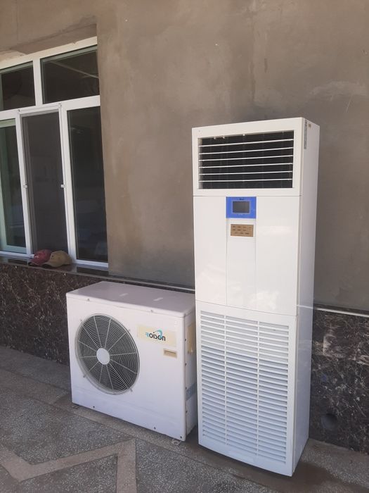 Kandetsaner roysn 24 talik