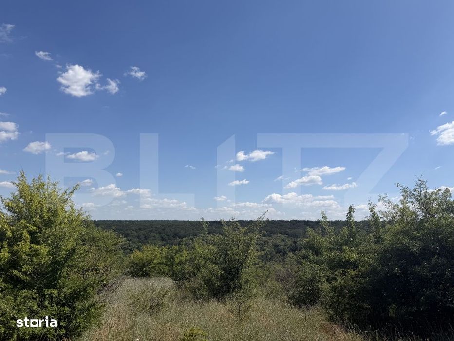 Teren 6291 mp, extravilan, zona Leamna de jos